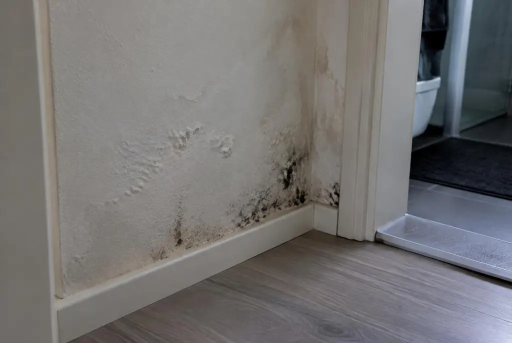 Lekdetectie Boskoop – vochtplek met schimmel op een muur